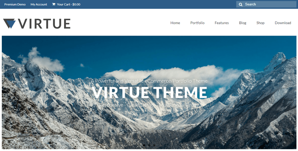 Virtue Theme
