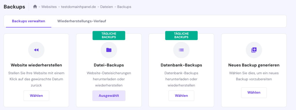 Datei-Backups im hPanel
