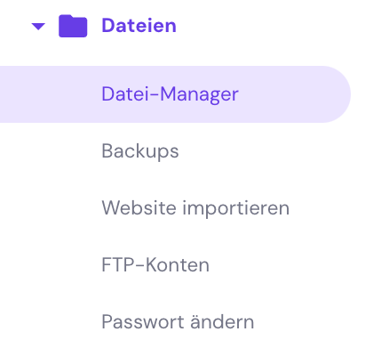 Datei-Manager im hPanel