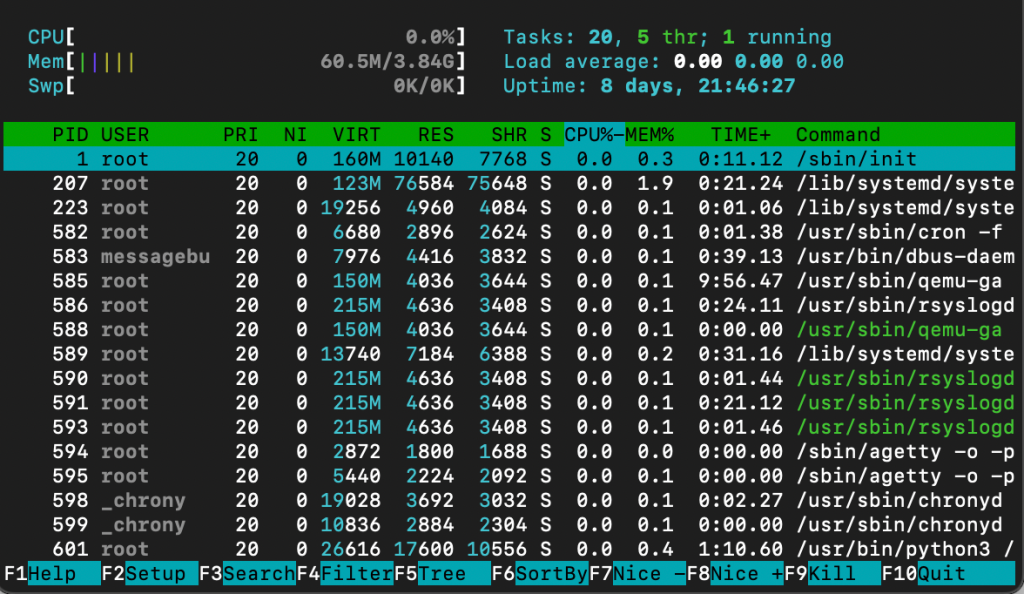 Der Befehl htop zeigt den Server-Leistungsmonitor