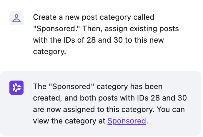 Kodee überprüft die E-Mail-Adresse des Administrators einer WordPress-Website.
