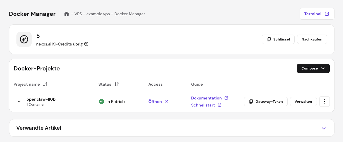 Die Schaltfläche Open für OpenClaw im Hostinger-VPS-Dashboard