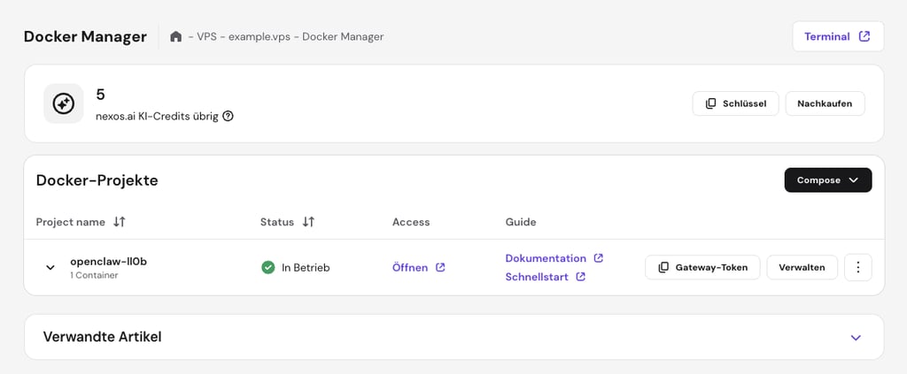 Die Schaltfl&auml;che Open f&uuml;r OpenClaw im Hostinger-VPS-Dashboard