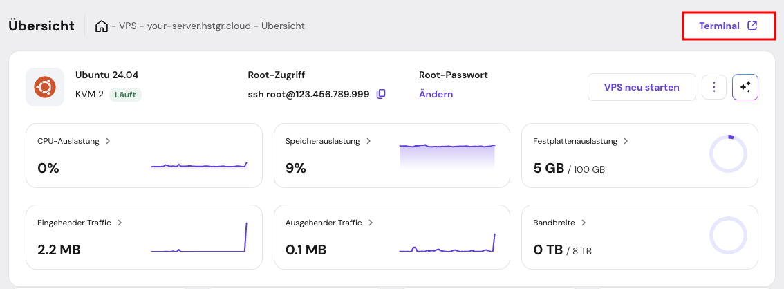 Ein Screenshot von hPanel, der das integrierte Browser-Terminal anzeigt