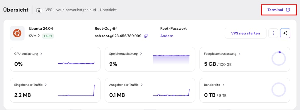 Ein Screenshot von hPanel, der das integrierte Browser-Terminal anzeigt