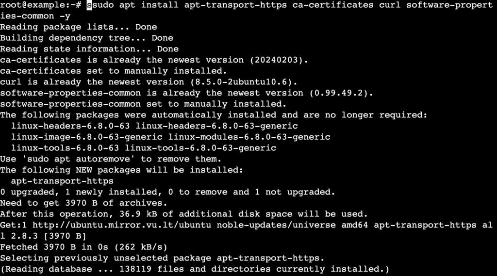 Eine Terminalausgabe zeigt den Vorgang der Installation erforderlicher Pakete und Abh&auml;ngigkeiten.