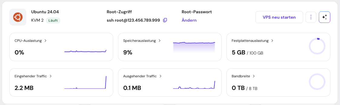 Hostinger VPS-Übersicht auf hPanel