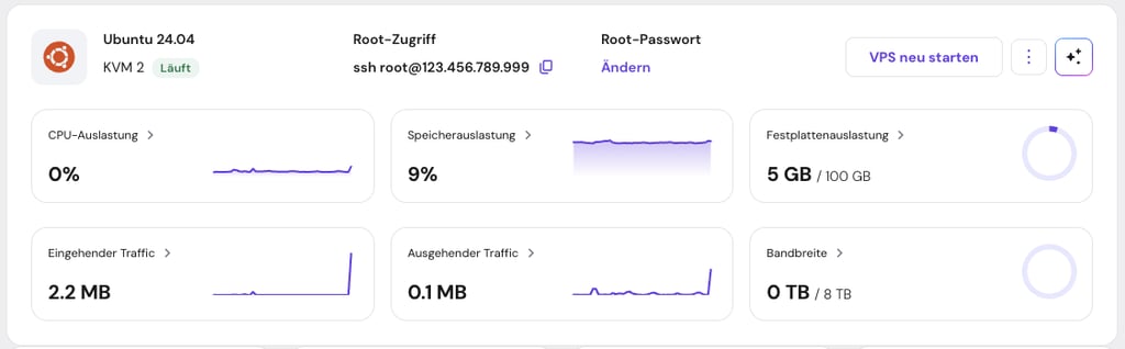 Hostinger VPS-Übersicht auf hPanel