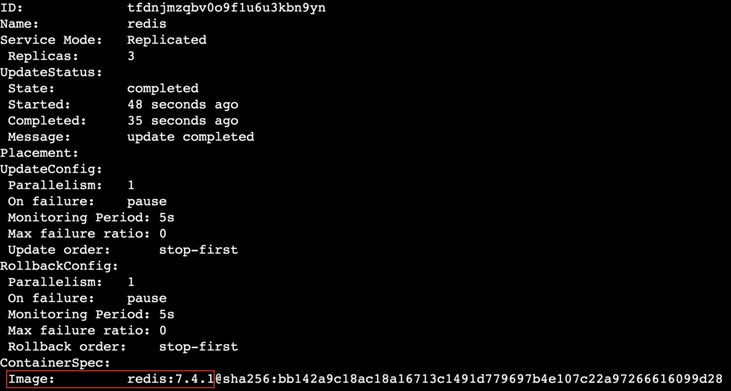Eine Terminalausgabe, die die installierte Docker-Image-Version des Redis-Dienstes zeigt