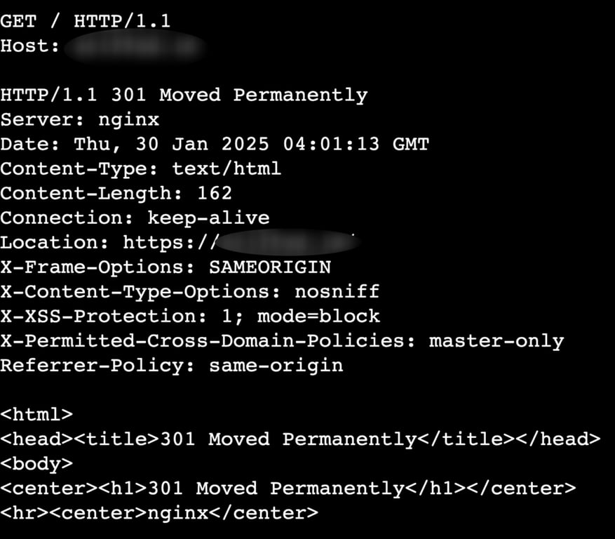 Die Ausgabe der HTTP-GET-Anfrage in der Telnet-Sitzung des Terminals
