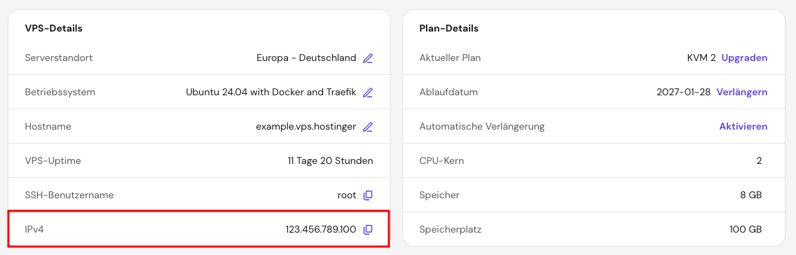 Die IPv4-Informationen zum VPS in hPanel