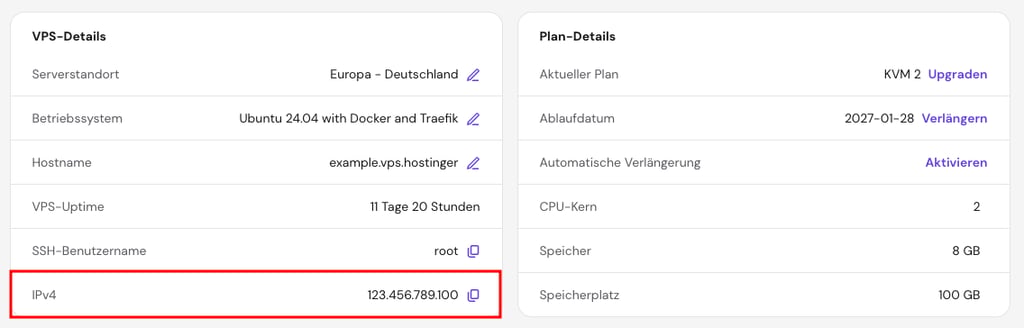Die IPv4-Informationen zum VPS in hPanel