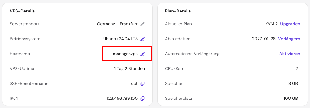 Die Hostname-Informationen auf der VPS-&Uuml;bersichtsseite in hPanel
