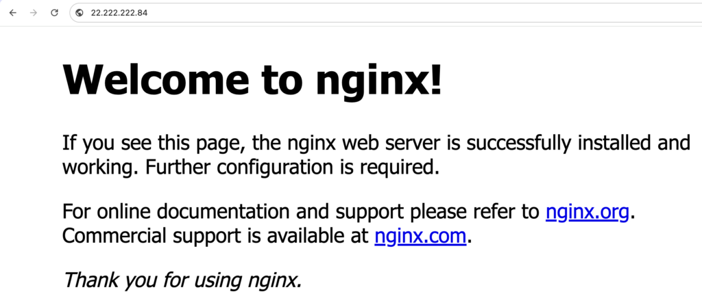 Die NGINX-Begr&uuml;&szlig;ungsseite in einem Browser