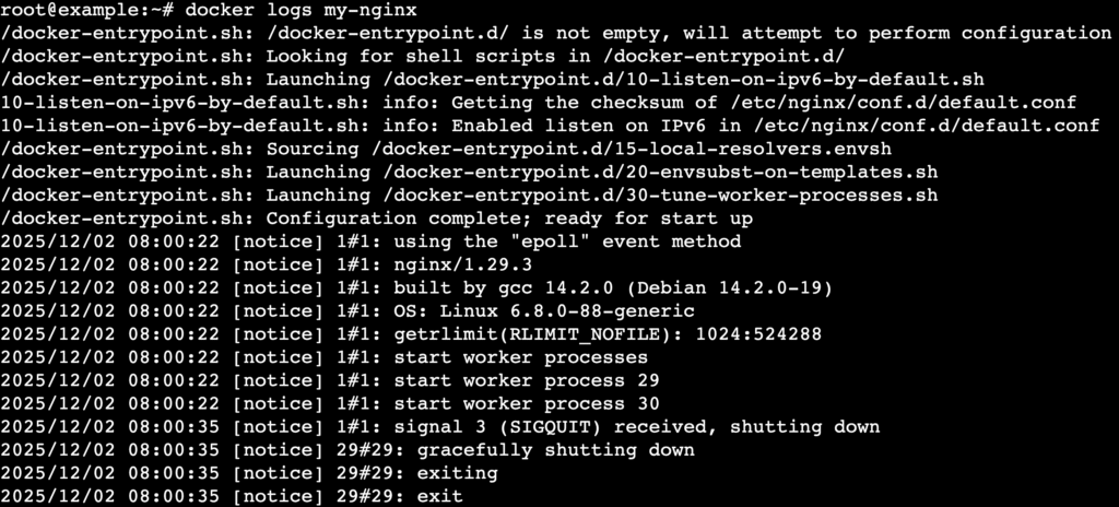 Terminal zeigt die Ausgabe der Docker-Logs mit NGINX-Zugriffsanforderungen