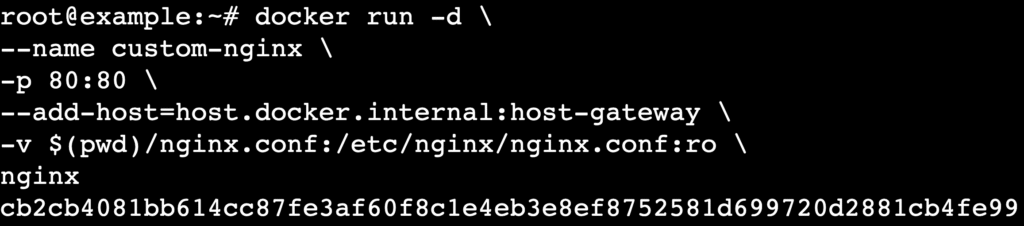 Terminal mit Docker-Run mit --add-host Flag für Linux-Netzwerke
