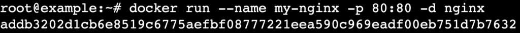 Terminal mit Docker-Run im Detached-Modus, um NGINX zu starten