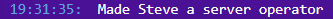 Konsolen-Text "Made Steve a server operator"