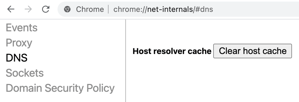 DNS-Cache in Google Chrome leeren.