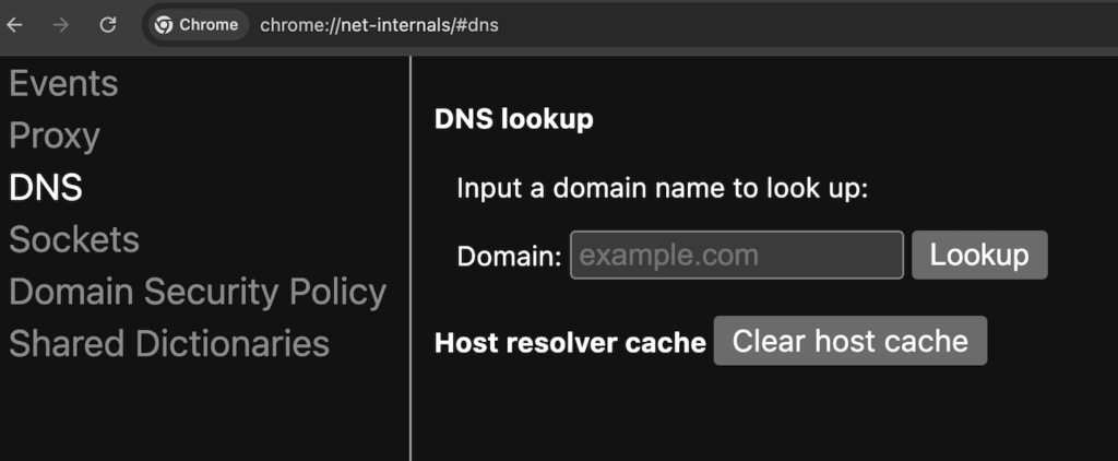 Die DNS-Verwaltungsseite von Chrome