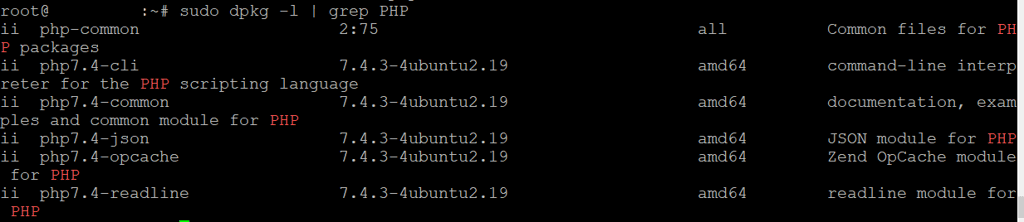 Der dpkg-Befehl zeigt installierte Pakete mit Bezug zu PHP an