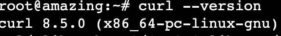 Das Terminal gibt die cURL-Version aus