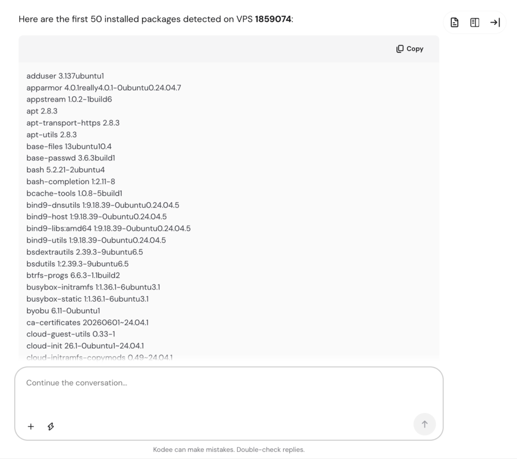 Hostinger Agent zeigt die auf einem VPS installierten Pakete an