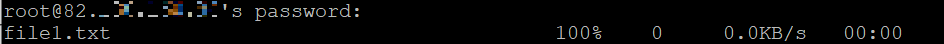Das Terminal zeigt eine Passwortabfrage und einen SCP-Fortschrittsbalken an