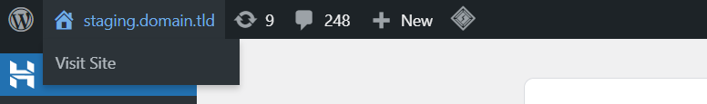 Die Schaltfläche „Zur Website“ im Admin-Bereich der Staging-Website