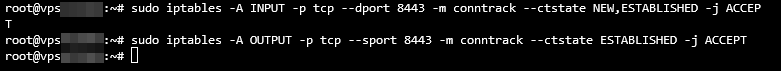 Öffnen Sie Port 8443 in den iptables von Ubuntu über das Terminal.