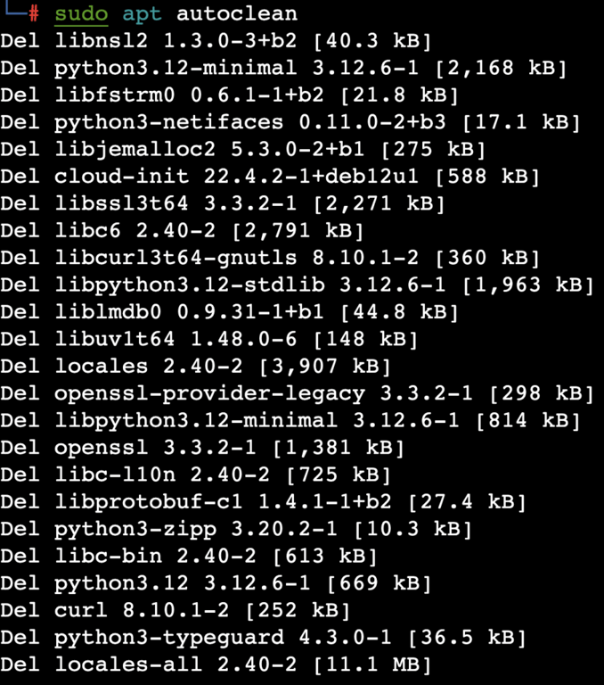 Die Ausgabe des Befehls „sudo apt autoclean“ im Terminal