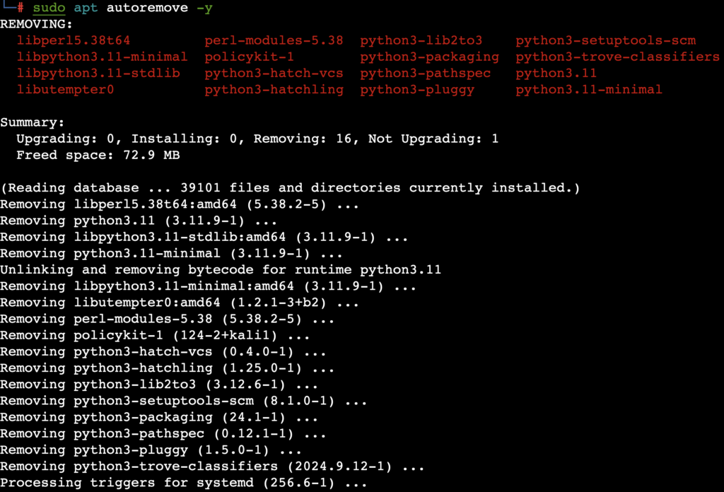 Die Ausgabe des Befehls „sudo apt autoremove -y“ im Terminal