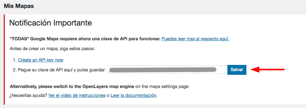 Pegando tu clave API en WordPress.