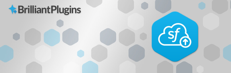 El plugin Brilliant Web to Leads Salesforce.