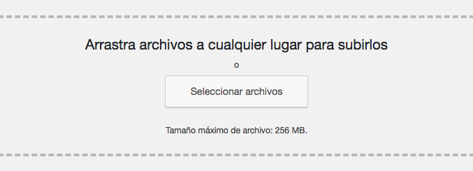 Seleccionando que archivos subir.