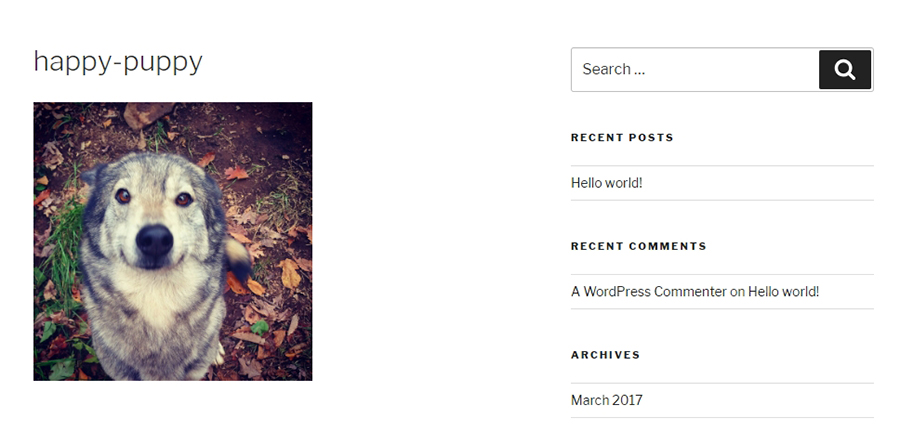 Una imagen de archivo adjunto de WordPress.