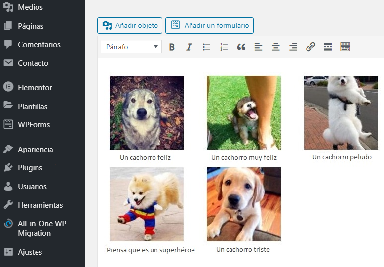 Insertar una galer&iacute;a en tu entrada