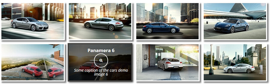 El plugin Gallery by Robo en acci&oacute;n.