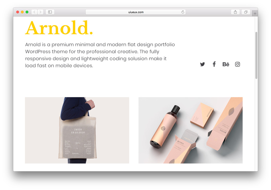 Tema de Arnold Portfolio