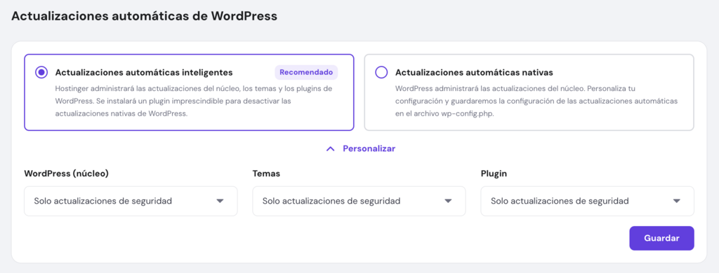 Secci&oacute;n de Actualizaciones autom&aacute;ticas de WordPress