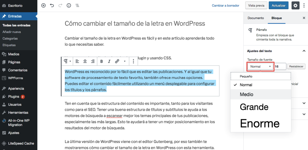 Cómo cambiar el tamaño de fuente en WordPress usando las opciones predeterminadas