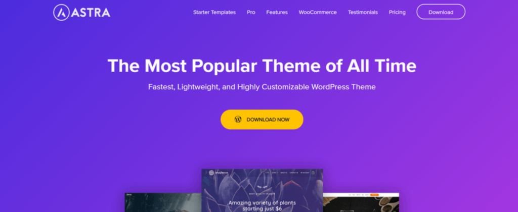 P&aacute;gina del tema de WordPress Astra
