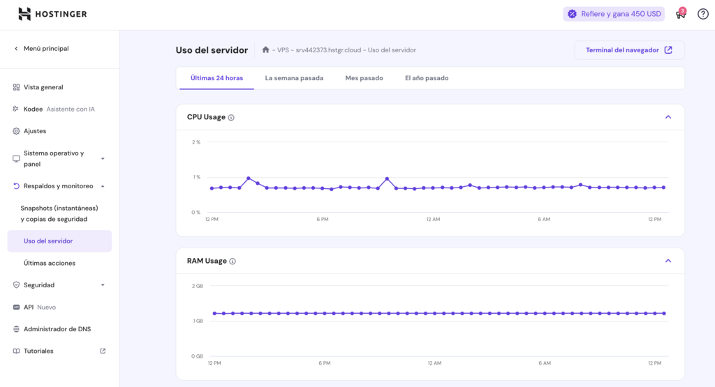 Uso del servidor VPS en hPanel