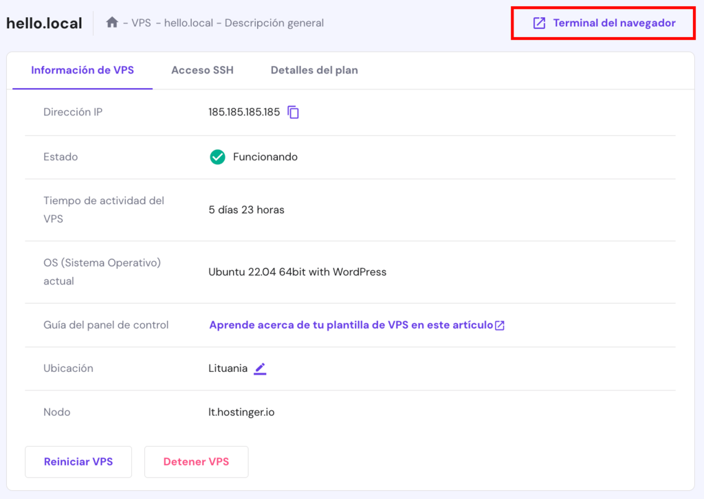 La p&aacute;gina de resumen de un VPS de Hostinger. El bot&oacute;n de terminal del navegador est&aacute; resaltado