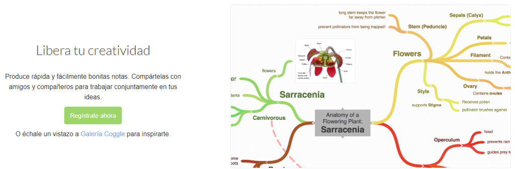Herramienta de colaboración en línea de Coggle