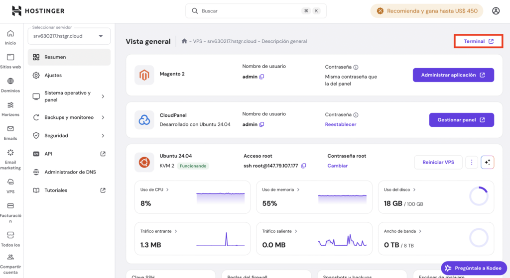 Vista del VPS en hPanel