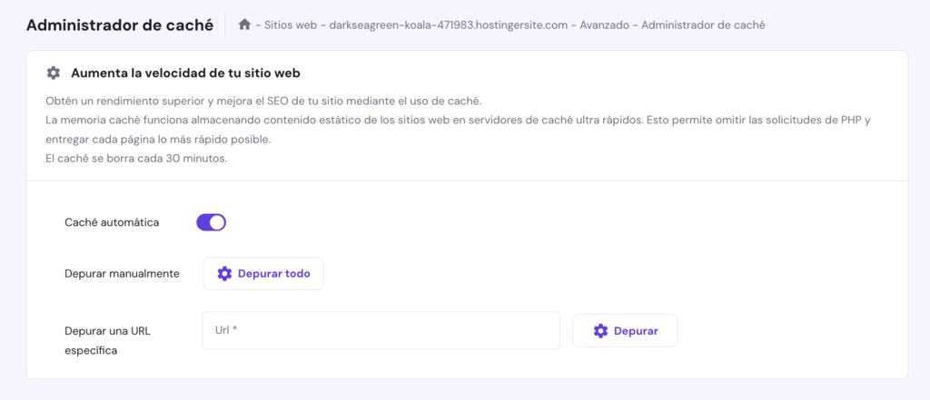 Gestor de cache de hPanel