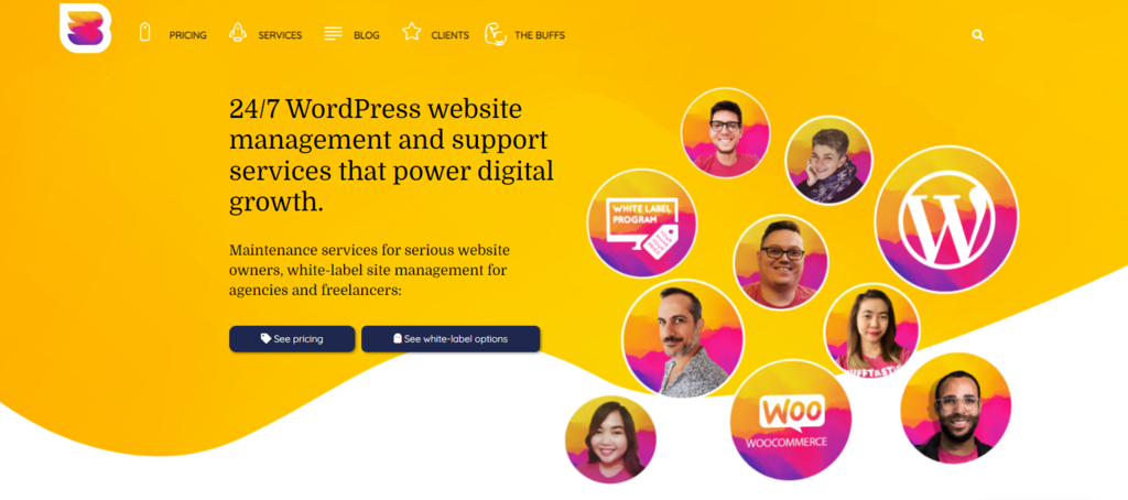 P&aacute;gina de inicio de WPBuffs