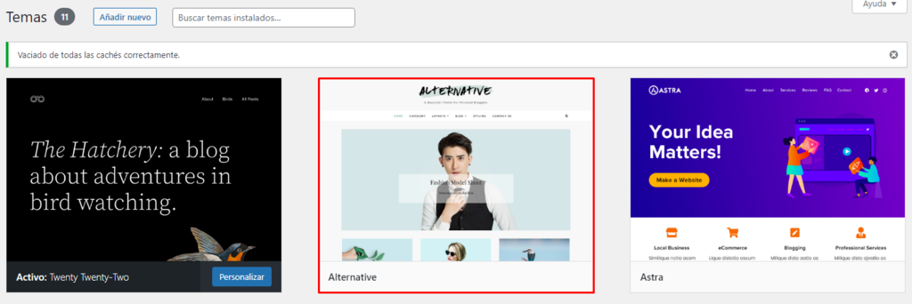 Tema cargado en el panel de control de WordPress