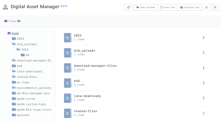 Función del gestor de activos digitales en el WordPress Download Manager